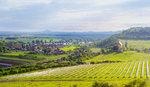 Tschechien Freiflächenanlage | The government in Prague has already reached its targets for photovoltaics and power from biomass, so parliament is slowing down the energy transition in the country.