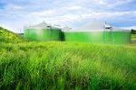 _agricapital_alinda | Wachstumszeiten in Aussicht: Es gibt viel Geld für den Biogas- und Biomethanausbau aus Amerika.