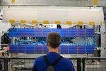 Modulfertigung Solar World Freiberg | Wenn die Hersteller nicht ihre Produktion und Auslieferung der Komponenten optimieren, könnte es bei steigender Nachfrage zu Lieferengpässen kommen. So befürchten es zumindest die Kunden.