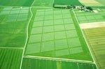 PV-Anlage in Strasskirchen Bayern | Solarparks wie hier im bayerischen Strasskirchen sollen nach dem Willen der bayerischen Landesregierung wieder eine Förderung erhalten
