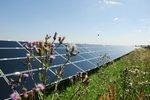 Solarpark Salmdorf | Im November gingen in Deutschland Solarparks mit einer Gesamtleistung von gut 34 Megawatt neu ans Netz. Dies sorgte dafür, dass der Zubau in diesem Monat wieder über 100 Megawatt lag. - © BSW-Solar/First Solar