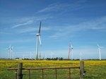 recht | Einigkeit trotz verschiedener Ausrichtung? Beim Repowering (hier auf Fehmarn) können die vielfältigen Interessengegensätze schnell unübersichtlich werden. Sollte der Anlagentausch zum Massengeschäft werden, könnte Mediation den Prozess vereinfachen. - © Foto: wpd