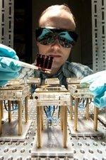 Solarinitiative Ilmenau | Die Technische Universität Ilmenau will die Photovoltaikforschung intensivieren. Außerdem bildet sie zum nächsten Semester Spezialisten für Solarenergie aus.