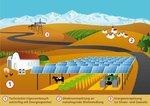 Agrophotovoltaik Landnutzung Freifläche | Pflanzen unter der Photovoltaikanlage - für die Konkurrenz um die Flächennutzung könnte dies ein Ausweg sein, der alle Seiten zufriedenstellt. - © Fraunhofer ISE