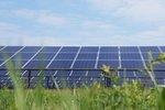 Uttenreuth Solarpark | Im vergangenen Jahr hat Naturstrom den Solarpark im mittelfränkischen Uttenreuth gebaut. Im Unterschied zu anderen Projektierern hält der Ökostromanbieter die Anlagen im eigenen Bestand und betreibt sie selbst. - © Naturstrom AG