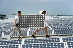 Photovoltaik Installateure neu | Der Zubau in Europa schwächelt. Viele Handwerker machen dafür unter anderem die Handelsbarrieren für chinesische Module verantwortlich. Doch einige haben sich auf die Seite der Zollbefürworter geschlagen. - © Foto: Phoenix Solar