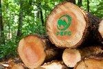 _pellcert | Waldzertifizierungssysteme wie PEFC werden wohl Bestandteil des Nachweises der Nachhaltigkeit von fester Biomasse zu energetischen Zwecken. - © Foto: PEFC