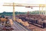 _holzpellets kanada | Der Rohstoff Holz wird sowohl auf dem Weltmarkt als auch davon völlig getrennt auf regionalen Märkten gehandelt. Das Holzpelletgechäft beispielsweise ist weltweit ausgerichtet. Europa bezieht seinen Bedarf auch teils schon aus anderen Kontinenten - etwa wie hier zu sehen aus Kanada .