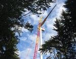 Ostwind im Wald | Was geht noch im bayerischen Wald? Der größte Windpark wird jetzt gebaut. - © Ostwind