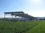 Agrophotovoltaik, Heggelbach | Mit der Pilotanlage wollen die Forscher unter anderem herausfinden, welche Feldfrüchte unter den Solarmodulen am besten gedeihen. - © Fraunhofer ISE