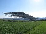 Agrophotovoltaik, Heggelbach | Mit der Pilotanlage wollen die Forscher unter anderem herausfinden, welche Feldfrüchte unter den Solarmodulen am besten gedeihen.