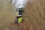 _KUP auf Greening | Kurzumtriebflächen auf Ackerland sind in Deutschland rar gesät. Eigentlich will die Bundesregierung sie. Ihr Ausbau kommt aber nicht in Gang.
