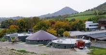 Alleskönner Biogas - © Foto: Universität Hohenheim / Oskar Eyb