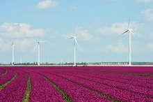 Frankreich | Windenergie in Frankreich - © Senvion Frankreich | Windenergie in Frankreich