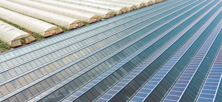 Solaranlagen auf Gewächshäusern sind in Spanien längst PPA-fähig.