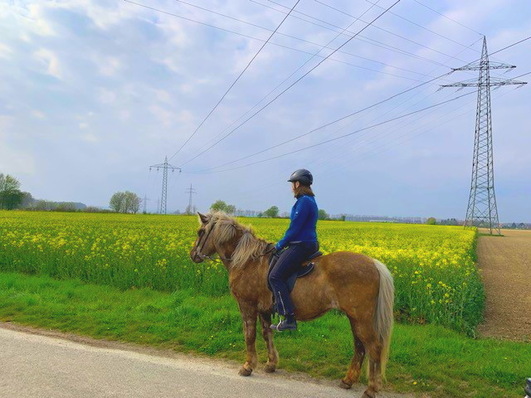 Nur an Stromtrassen zu denken bei den Netzen der Zukunft wäre zu kurz gesprungen.  