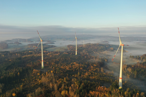 Wind im Wald ist in Baden-Württemberg ein wichtiges Thema beim Ausbau der Windenergienutzung.