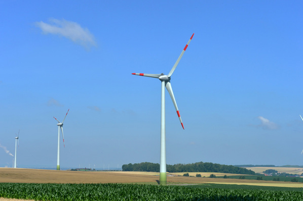 NEW wird gemeinsam mit Trianel nun eine Klimaroadmap erarbeiten. 