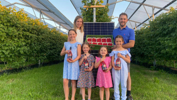 Landwirt Johann Deix hat nur noch einen Teil seiner Beeren unter den Folientunnel. Die anderen profitieren von den Vorteilen einer semitransparenten Solaranlage.