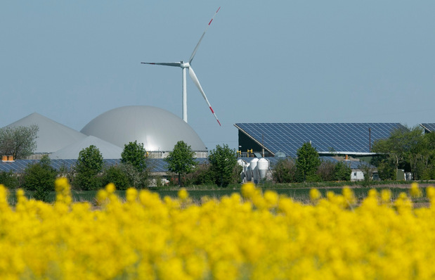 Wind, Solar und Bioenergie – welche Chancen haben sie künftig?