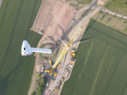 Bei einem sauberen, übersichtlichen Rückbau wird wenig Fläche verunreinigt, die unnötige Verdichtung von Boden wird vermieden.