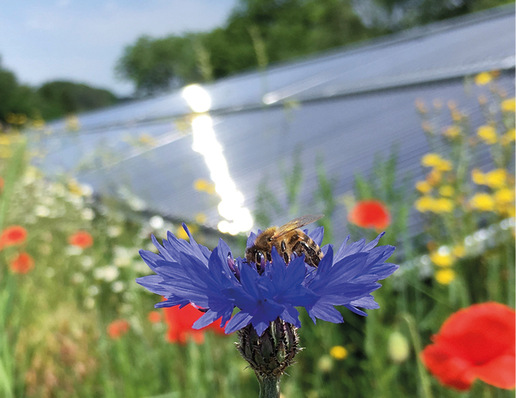 Institutionelle Investoren legen Wert auf ­nachhaltige Produkte.