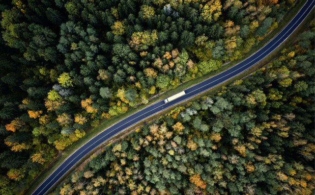 © Foto: alexugalek - stock.adobe.com