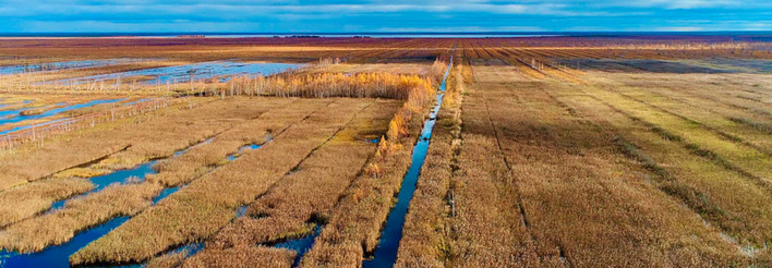 Das der Universität Greifswald gehörende Moor Centrum schätzt die Moorflächen weltweit auf 500 Millionen Hektar, von denen zehn Prozent entwässert sind.