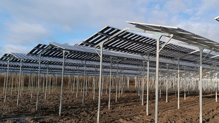 Unter der neuen Agri-PV-Anlage werden in Zukunft Erdbeeren gedeihen.