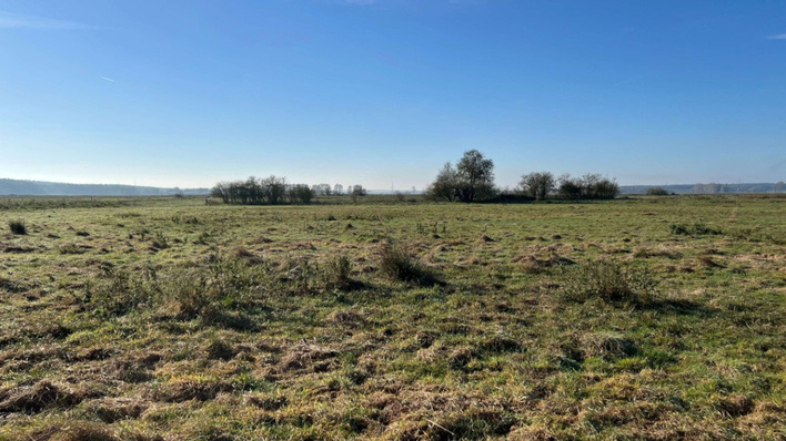 Fast drei Viertel der Moore in Deutschland sind trockengelegt. Um sie wieder zu vernässen, bietet sich die Photovoltaik an.
