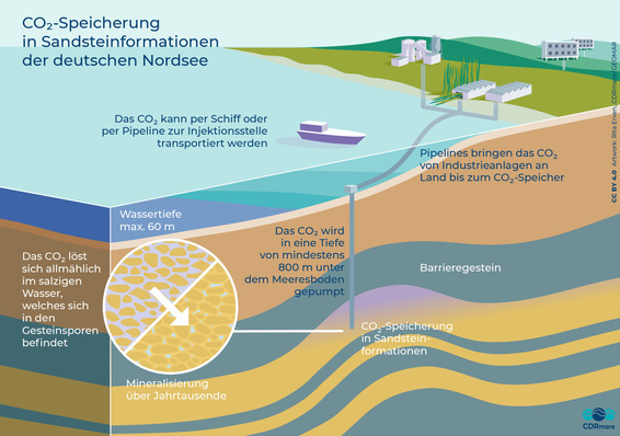 Infografik zur CO2-Speicherung in der deutschen Nordsee, die den Injektionsprozess und die Mineralisierung über Jahrhunderte zeigt. - © Rita Erven, CDRmare, GEOMAR