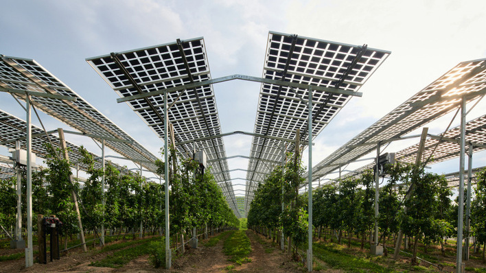 Eines der Ziele der Touren führt die Teilnehmer zur Agri-PV-Anlage nach Kressborn.