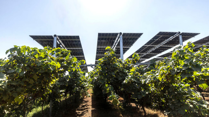 Läuft die Anlage optimal? Mit dem neuen Assistenten von Solargik bekommen die Betriebsführer klare Hinweise zur Optimierung des Anlagenbetriebs.