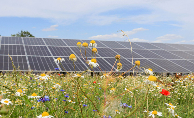 Baden-Württemberg hat den schnellen Ausbau von PV in die Wege ­geleitet, allerdings betrifft das nur Anlagen ohne Batteriespeicher.