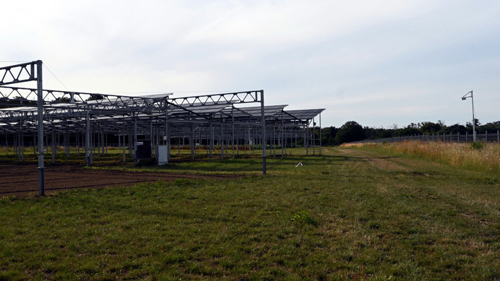 Welche Tiere und Pflanzen leben auf der Fläche, auf der die Agri-PV-Anlage entstehen soll? Dies kann nur mit einer Umweltkartierung ermittelt werden.