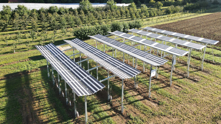 Wie viel Schutz bieten die Solarmodule für die Süßkirschen, die darunter wachsen? Dies soll mit dieser Anlage untersucht werden.