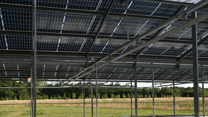 Die Anlage entspricht den Spezifikationen für die Agri-PV in Italien.