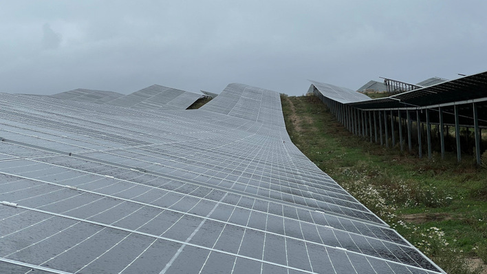 Der Solarpark in Petershagen geht jeweils zur Hälfte an Naturstrom und an die Berliner Stadtwerke, die ihre Kund:innen mit dem Sonnenstrom beliefern.