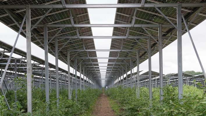 Die Ausrichtung der Module wurde an die landwirtschaftliche Bearbeitungsrichtung angepasst.