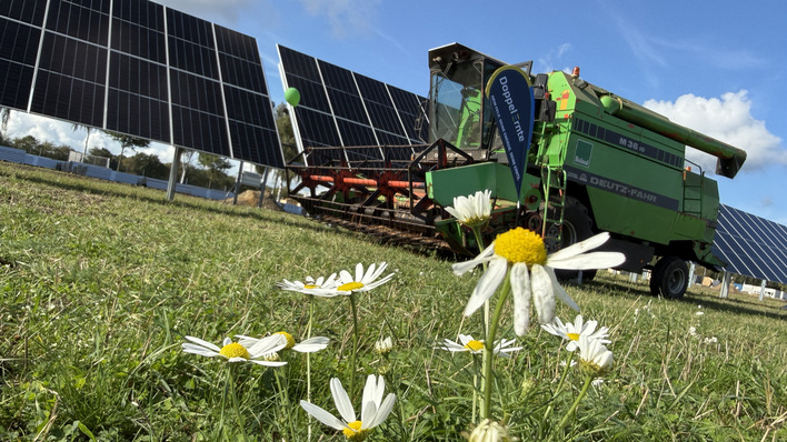Agri-PV in Riepholm bei Visselhövede: Im Dezember soll die komplette Anlage errichtet und am Netz sein.
