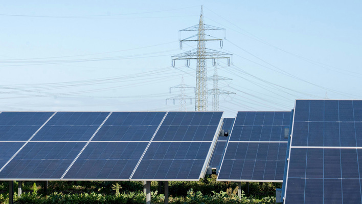 Im Solarpark Dedendorf haben die Projektpartner mehr Maßnahmen zur Artenvielfalt umgesetzt, als gesetzlich vorgesehen sind.