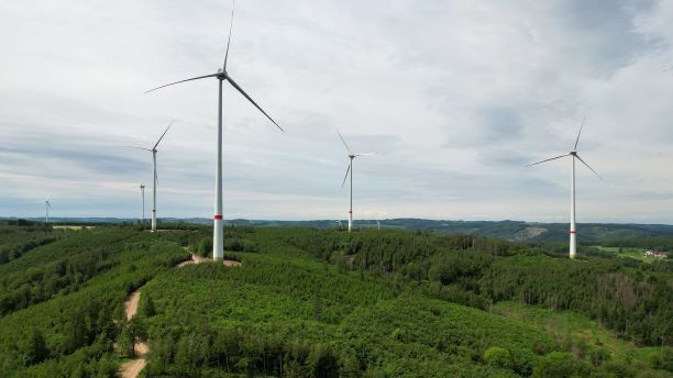 Direktlieferung von Windpark zu Industriewerk ist die effizienteste Art, saubere Energie und Industrie zusammenzubringen.