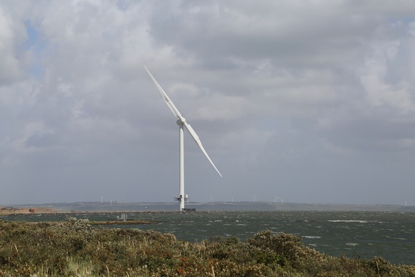 Zweiflügler E128-3.6MW von Envision Energy in Thyborøn, Dänemark