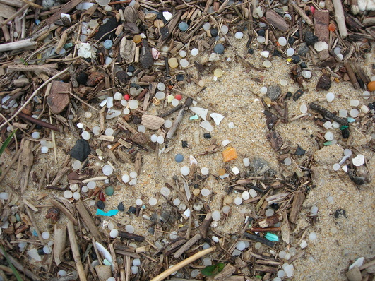 Plastikmüll am Strand