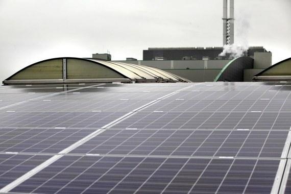 Q-Cells-Anlage auf dem Dach einer Lagerhalle der Abfallentsorgungs- und Verwertungsgesellschaft Köln mbH.