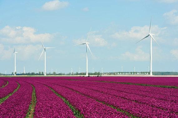 Frankreich | Windenergie in Frankreich