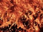 Biokohle | Auch organische Materialien können gepresst als Biokohle beim Co-Firing eingesetzt werden.