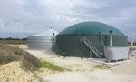 Biogasanlage/Weltec | Biogas als Spitzenlastlieferant.