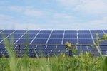 Uttenreuth Solarpark | Im vergangenen Jahr hat Naturstrom den Solarpark im mittelfränkischen Uttenreuth gebaut. Im Unterschied zu anderen Projektierern hält der Ökostromanbieter die Anlagen im eigenen Bestand und betreibt sie selbst.