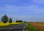 _indirekte Landnutzung part2 | Ackerfläche ist begrenzt und wohin führt der Weg bei der energetischen Nutzung: Verursacht die Anpflanzung von beispielsweise Raps hierzulande zu energetischen Zwecken dazu, dass beispielsweise in Südamerika Naturräume zerstört werden, um dann dort Nahrungspflanzen anzubauen, die hier dem Raps weichen? Rechts im Bild ein Kartoffelfeld. Die Wissenschaft ist sich über die konkreten Auswirkungen alles andere als sicher.